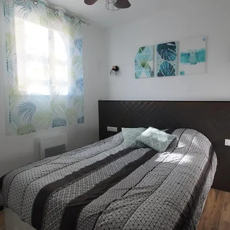 公寓式酒店 蓝色公寓酒店 圣让-德蒙