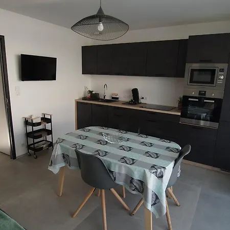 蓝色公寓酒店 2* 圣让-德蒙