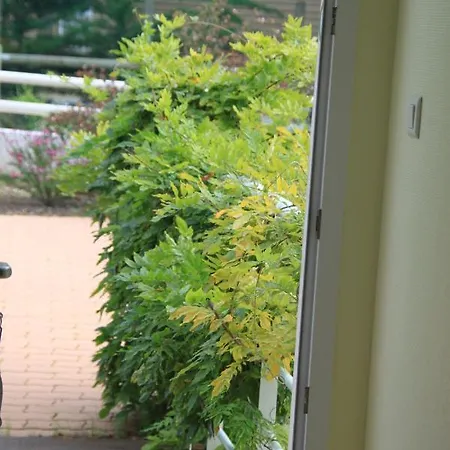 公寓式酒店 蓝色公寓酒店 2*