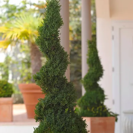 蓝色公寓酒店 圣让-德蒙