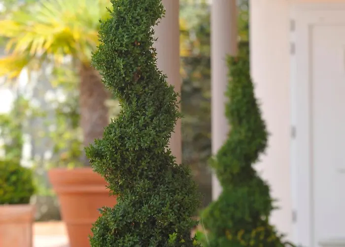 Resid'azur Saint-Jean-de-Monts